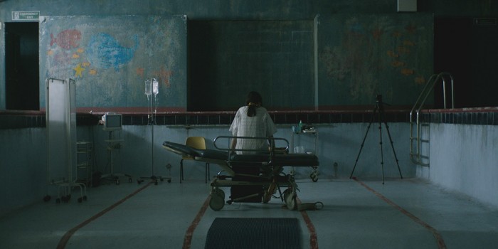 THE CURED